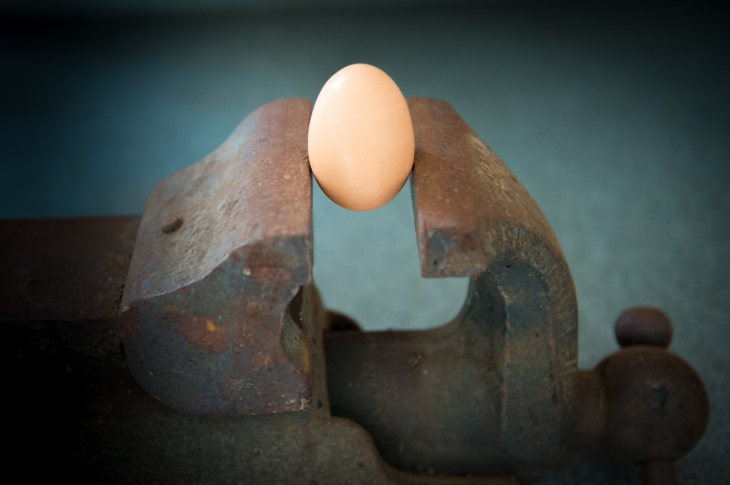The Policyholder is the Egg