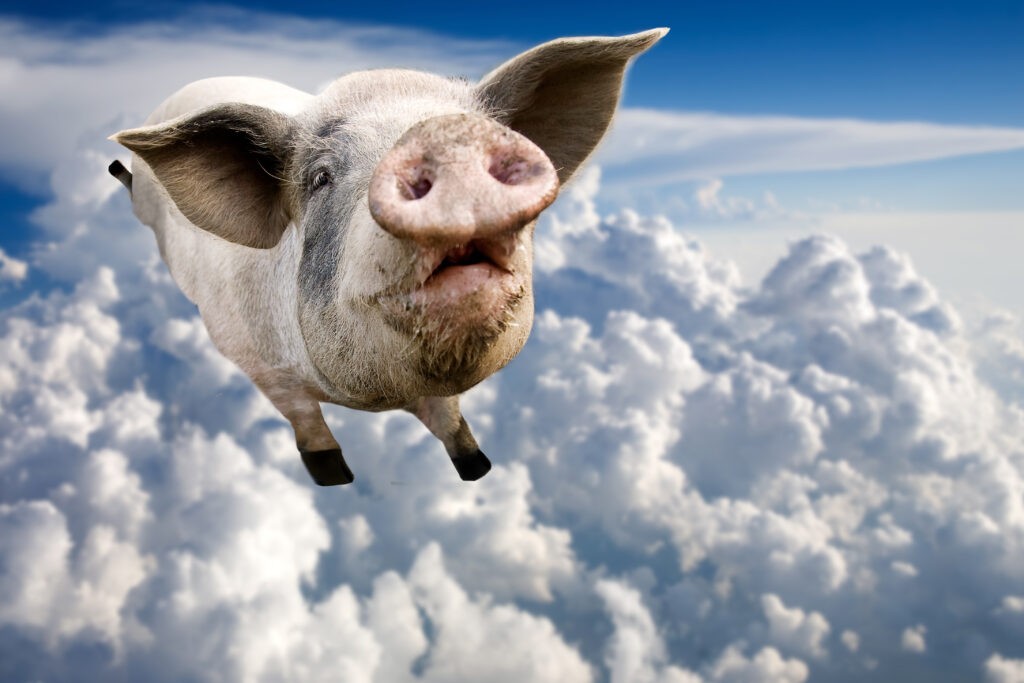 Pigs Can Fly–Boilerplate Demand For “Other Relief” Can Trigger The Duty To Defend